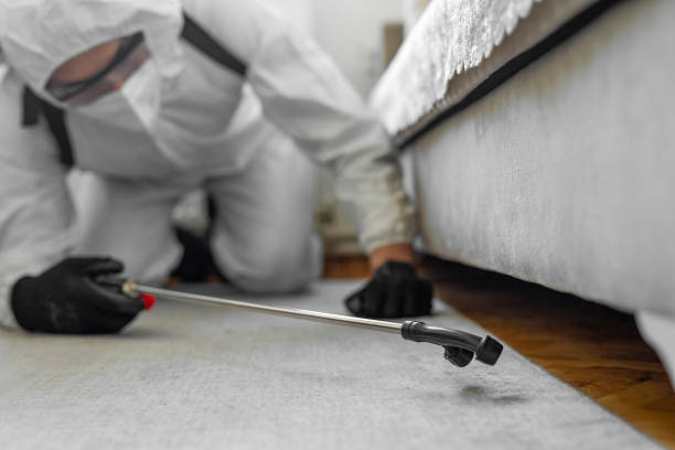 Professional Bed Bug Control technician working in Central City, IA